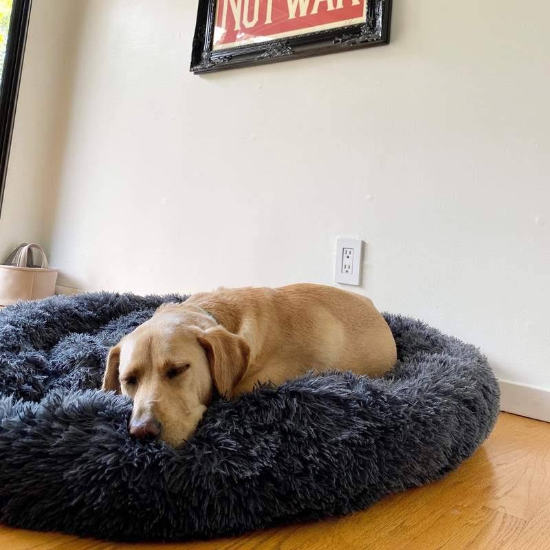 Skanto | Beroligende Hundeseng