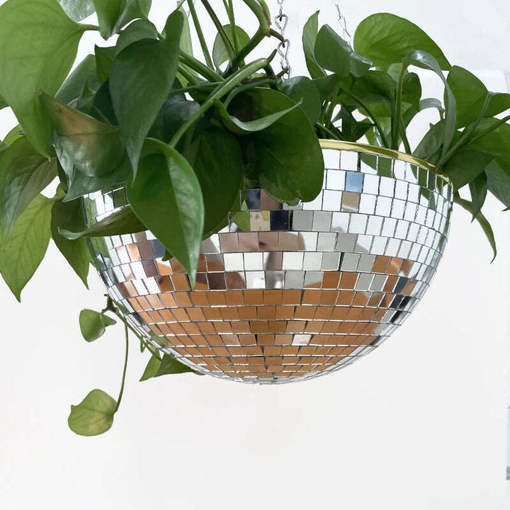 Skanto | Disco Ball Hengende Plante