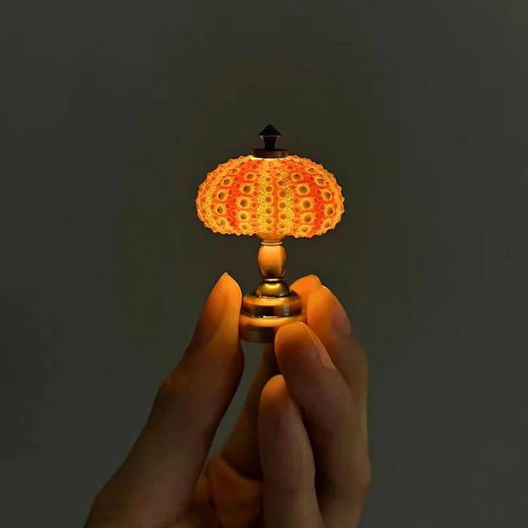 Skanto | LumiCraft – Unik DIY bordlampe med naturlig sjøskjell for en koselig dekor