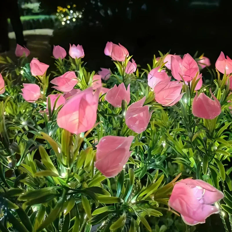 Skanto | Everbloom Solblomster Lys