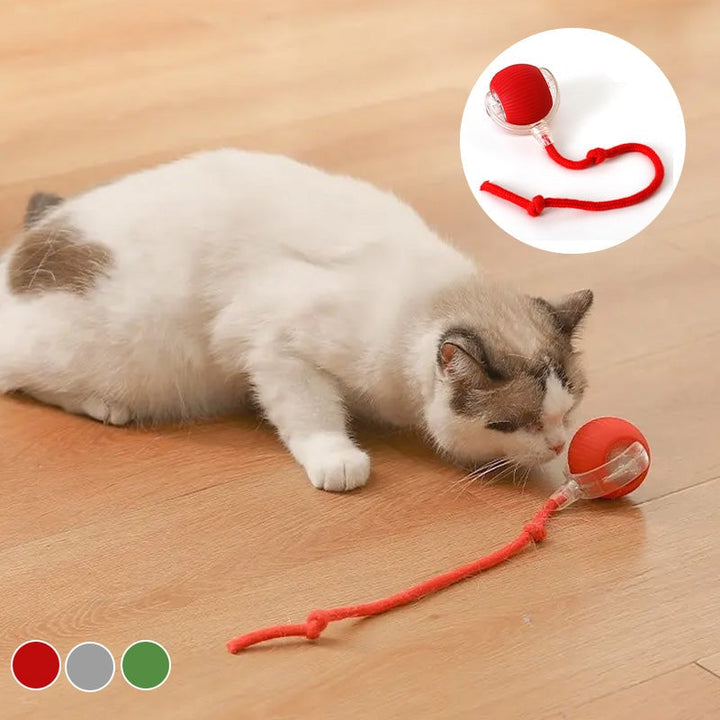 Skanto | Interaktiv Katt Lek Ball for Innendørs Bruk
