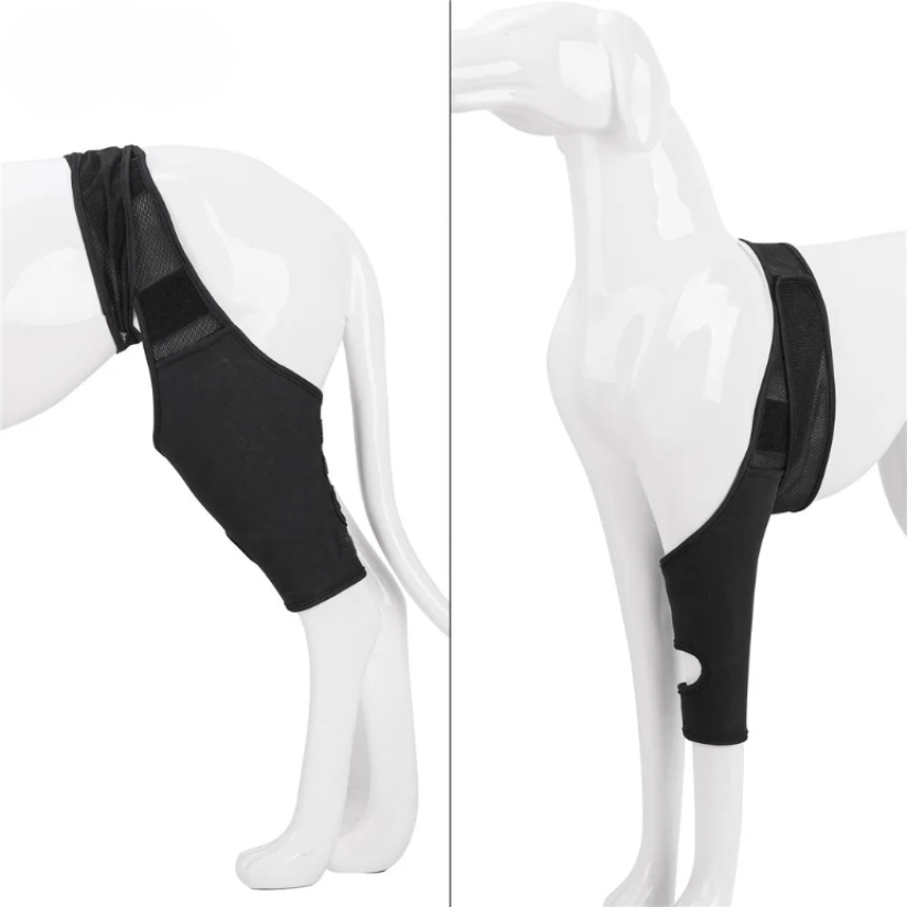 Skanto | PootVitaal Kneebrak for hunder – Støtte for leddsmerter og rehabilitering