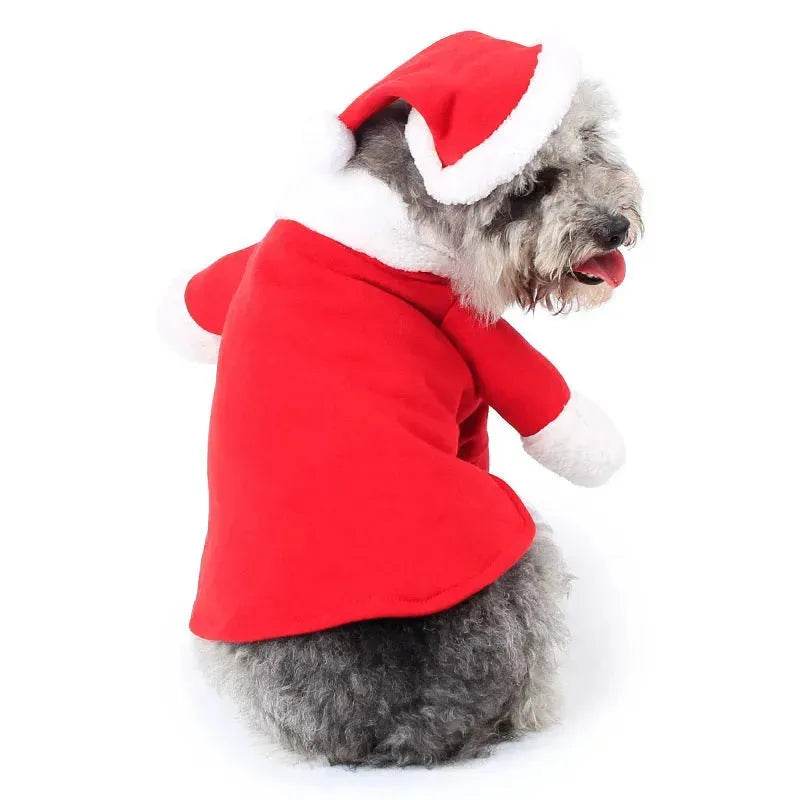 Skanto | Dyrevenn Julepynt Kostyme Pet Stående Kostyme