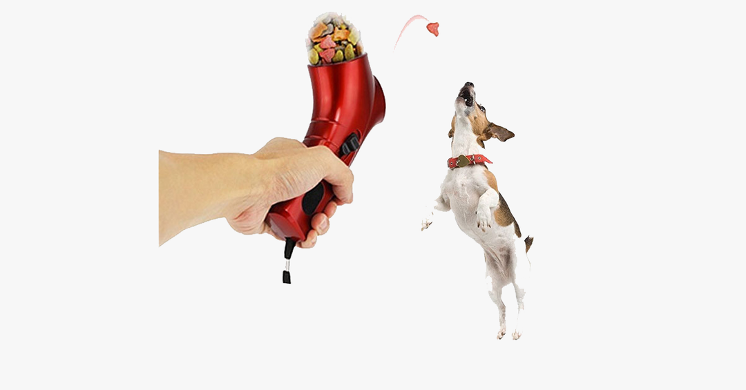 Skanto | Kjæledyr Snack Kaster