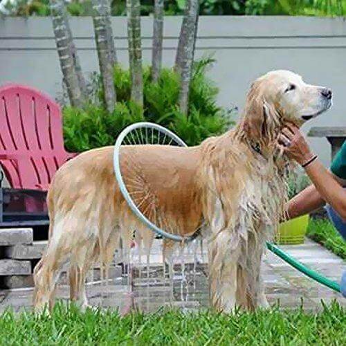 360° Pet Shower Tool - AquaPaws Skanto