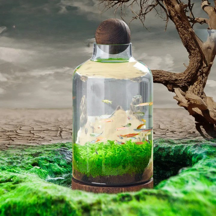 Mikro Akvarium Kompakt Glass Økologisk Fisken Tank | Skanto