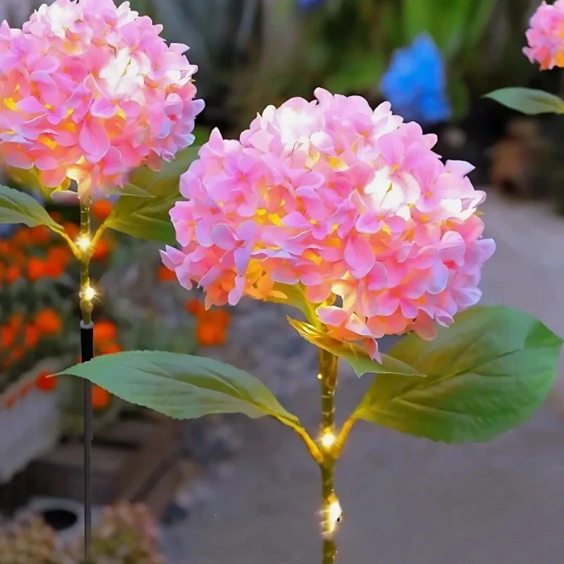 Skanto | Everbloom Solblomster Lys