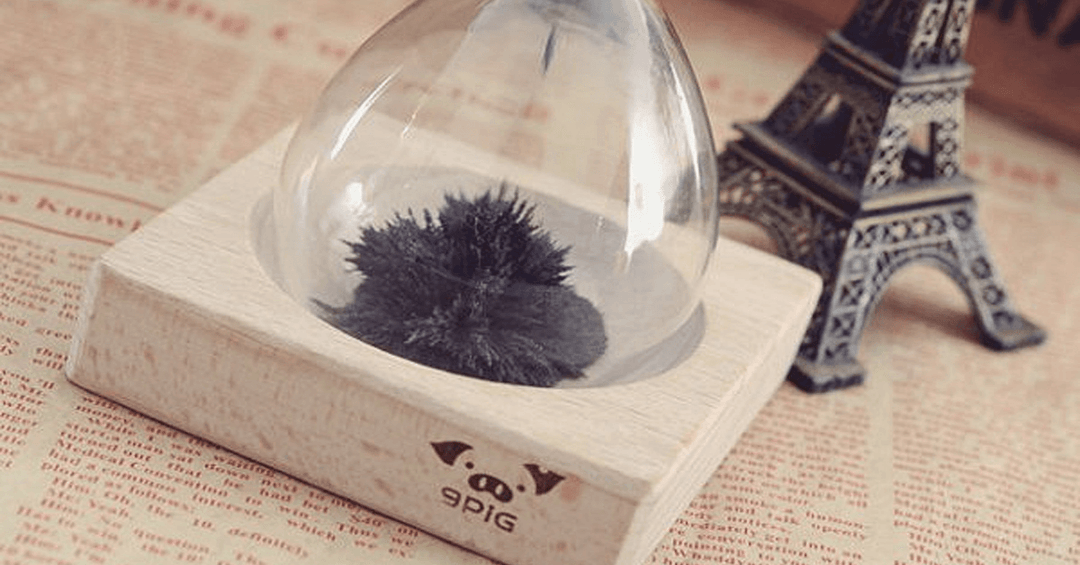 Skanto | Magnetisk Timeglass