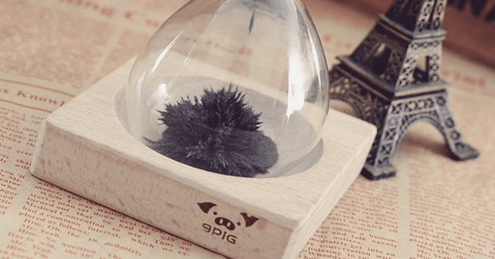 Skanto | Magnetisk Timeglass