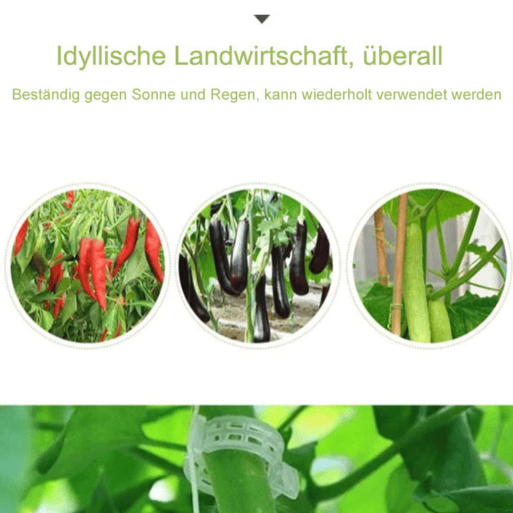 Praktisk Plante Støtte Klype | Skanto