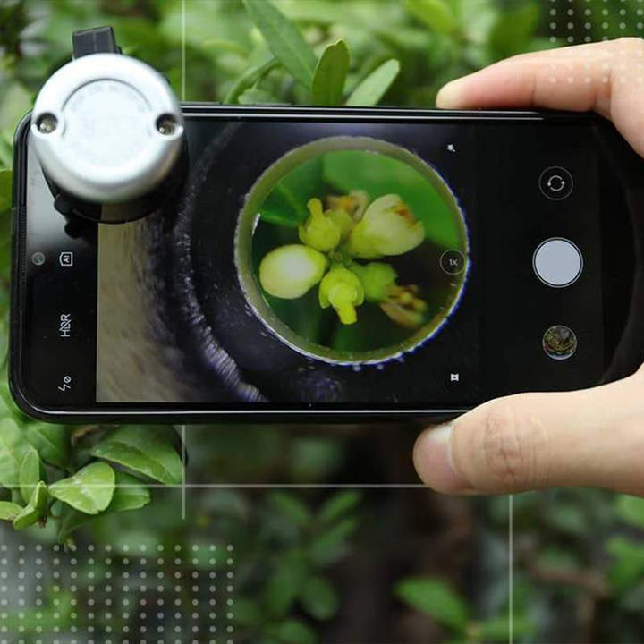 LED Bærbar Telefon Mikroskop | Skanto