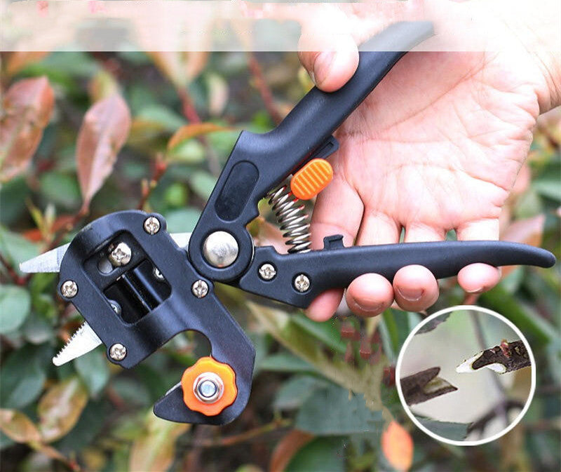 Skanto | Manuelle Tre Grafting Saks