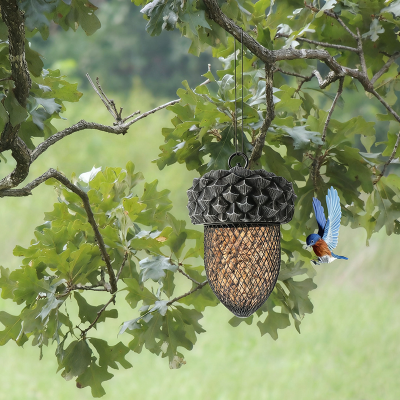 Skanto | Hummingbird Eikenprosjekt Jernfugleforingsapparat