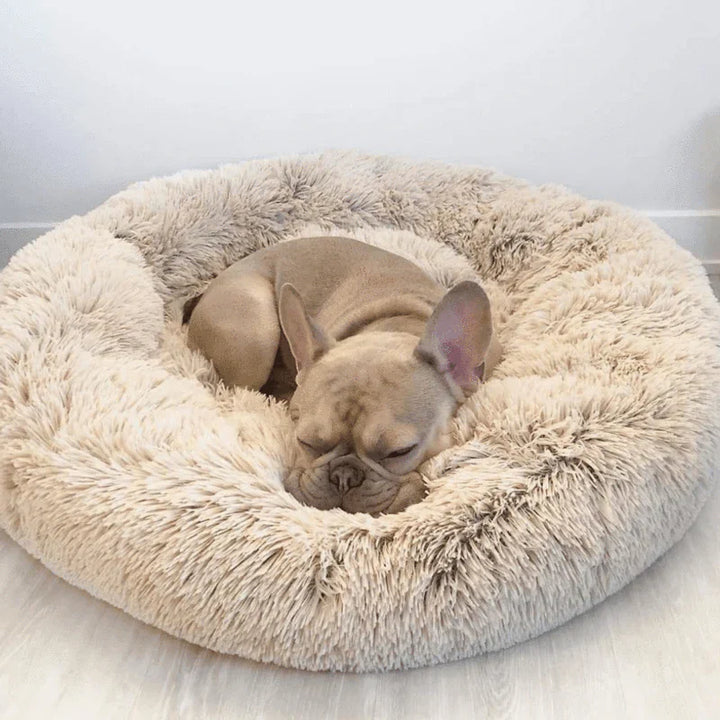 Skanto | Beroligende Hundeseng