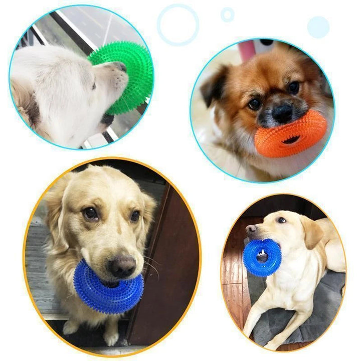 Vocal Ball Hundekjøttleketøy | Skanto
