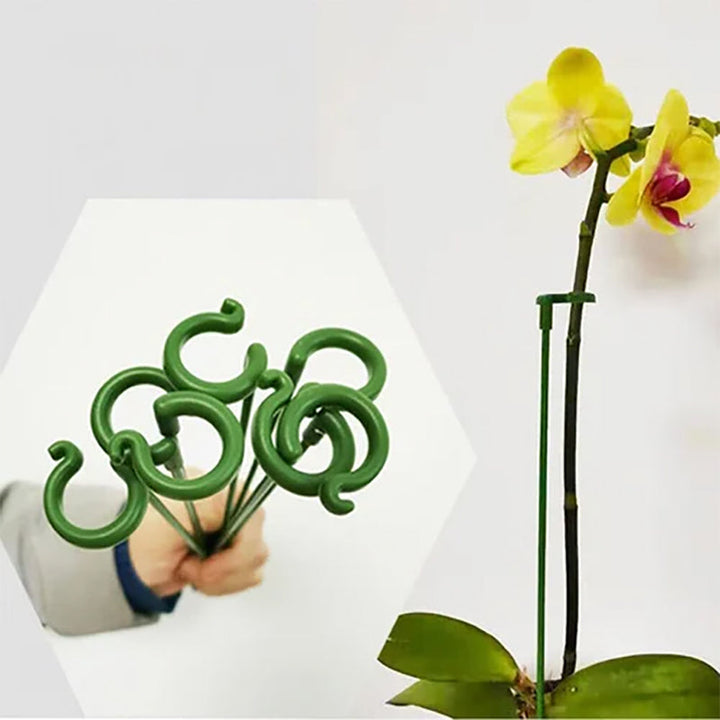 Skanto | Plante støtte