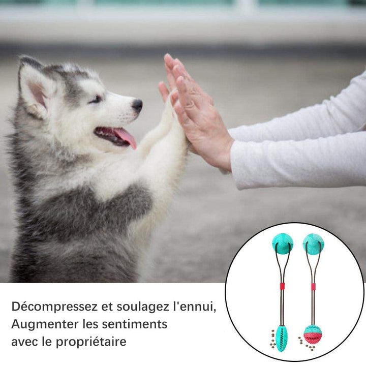 Hund sugekopp leketøy | Skanto