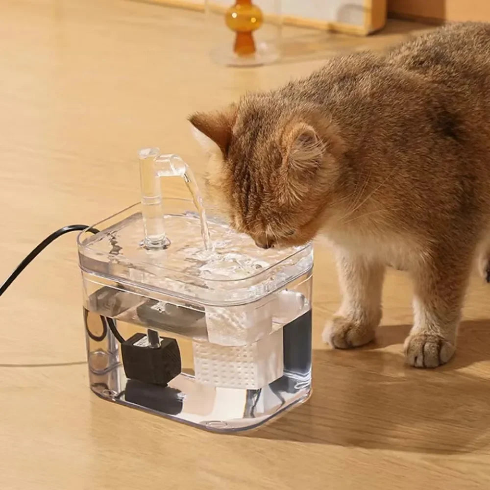 Katt og hund vann dispenser for rent og friskt vann Skanto