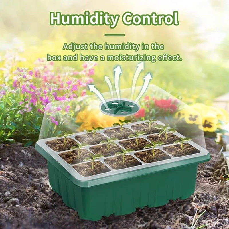 Frøstartplater med vekstlys, 5 sett | Skanto