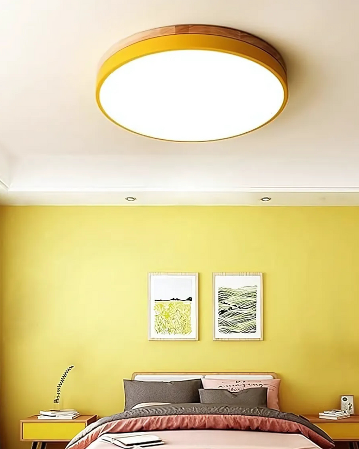 Skanto | Moderne Taklampe med Naturinspirert Form