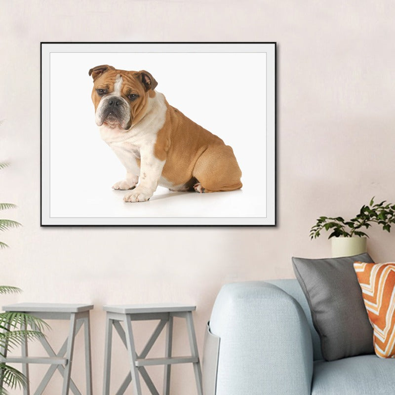 Moderne hundeposter og -trykk – lerretbilder