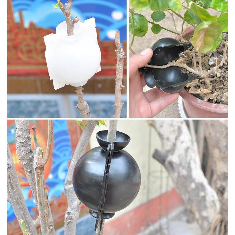 Air Layer Plant Propagation Capsule | Skanto