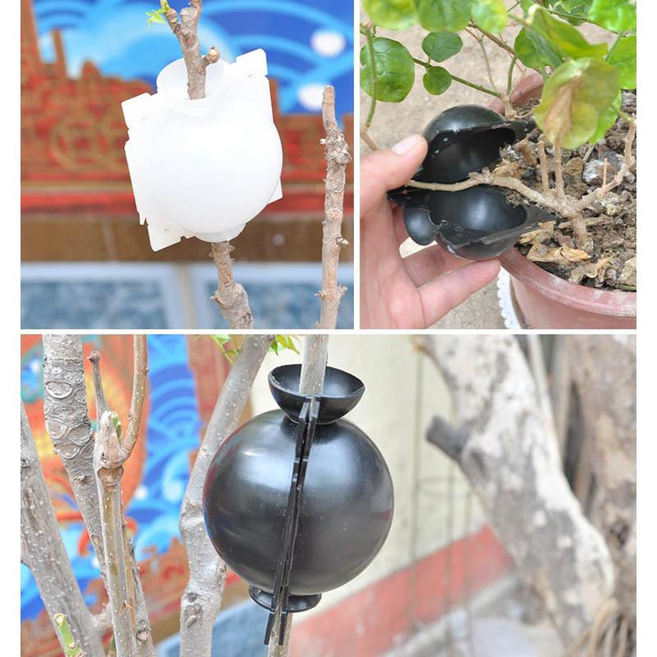 Air Layer Plant Propagation Capsule | Skanto