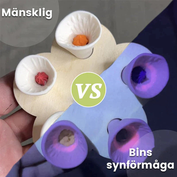 Skanto | Drikkekopp for bier og insekter