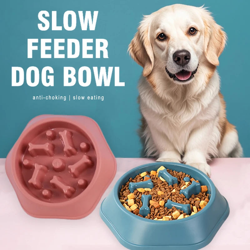Slow Eating Feeding Station for Dogs Skanto