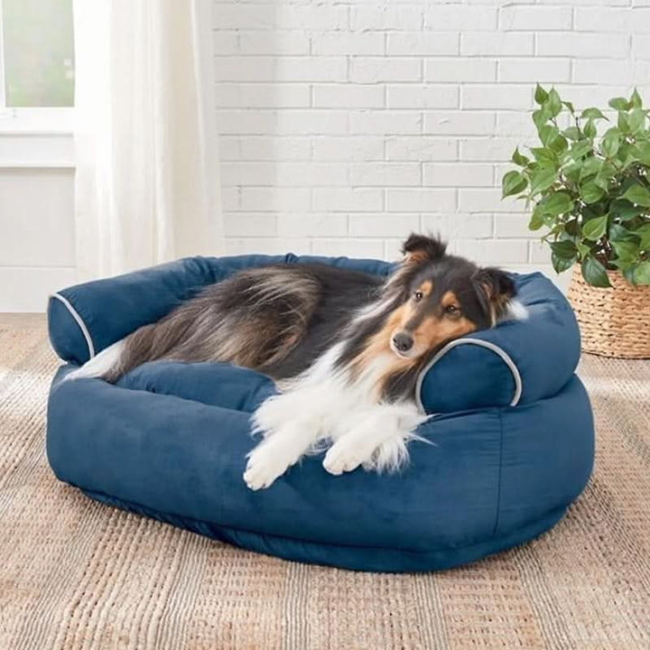Skanto | ZENPAW