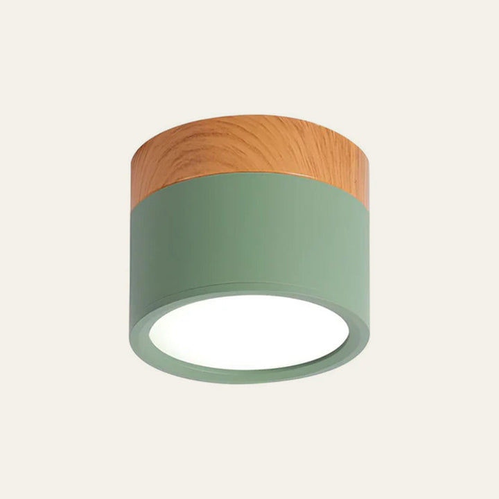 Skanto | LED Taklampe Moderne Flush Mount Sylinder