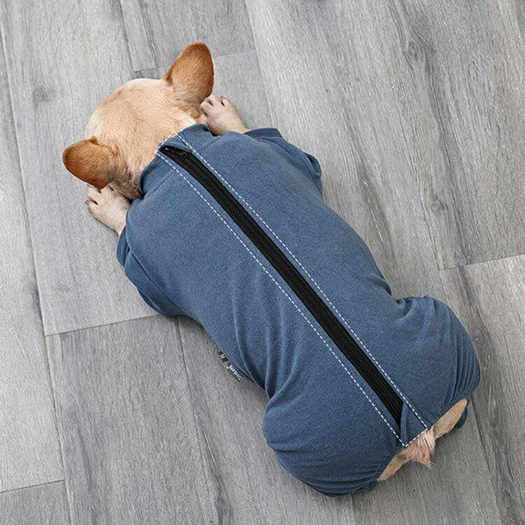 Skanto | Dog Recovery Suit after Surgery