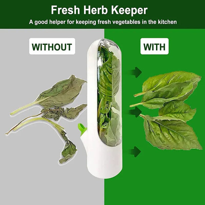 Skanto | Herb Fresh Holder