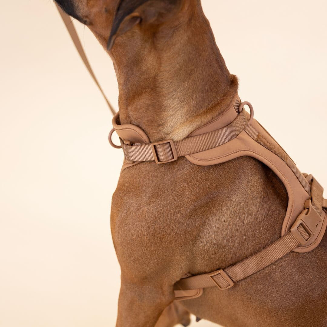 Skanto | ComfyPaws Hundesele Gåsett med Bånd og Bæsjeposeholder