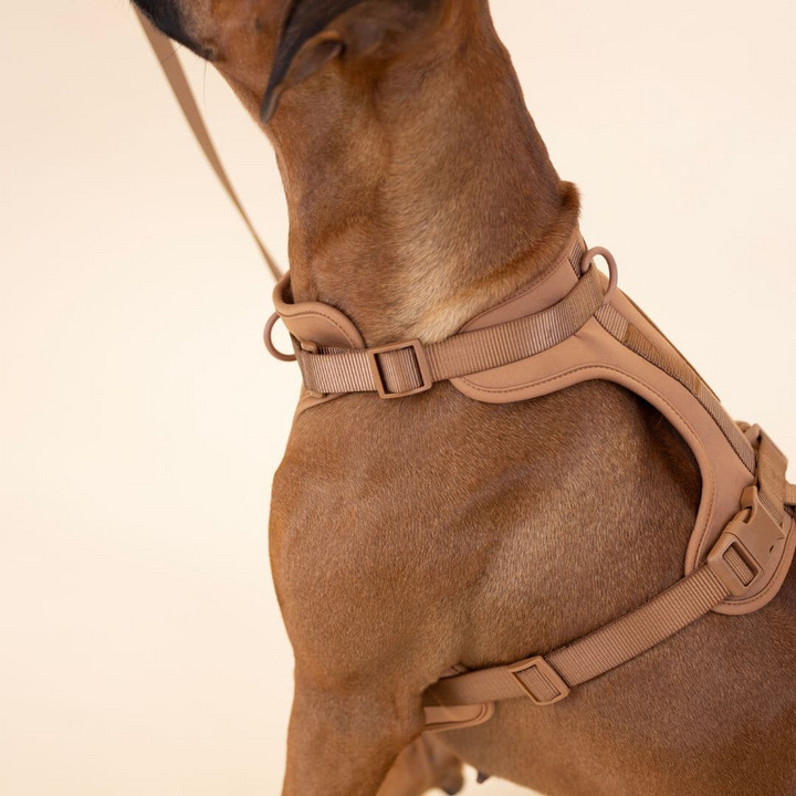 Skanto | ComfyPaws Hundesele Gåsett med Bånd og Bæsjeposeholder