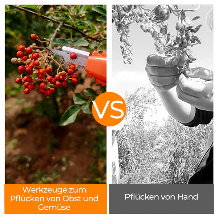 Effektive paprika plukking verktøy | Skanto