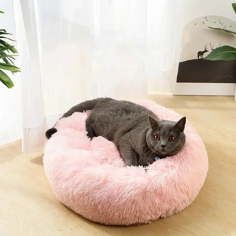 Koselig Sky Katt Seng Skanto