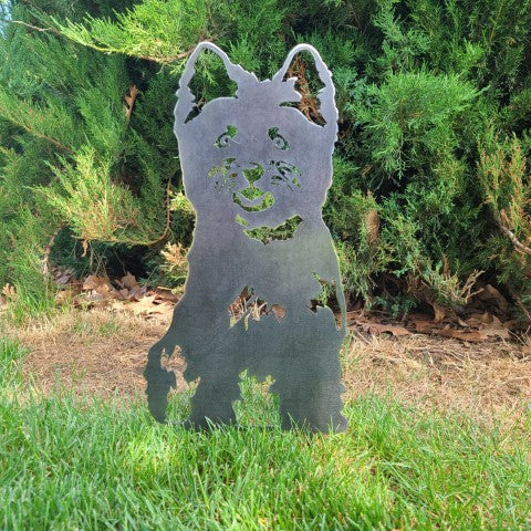 Cairn Terrier | Skanto