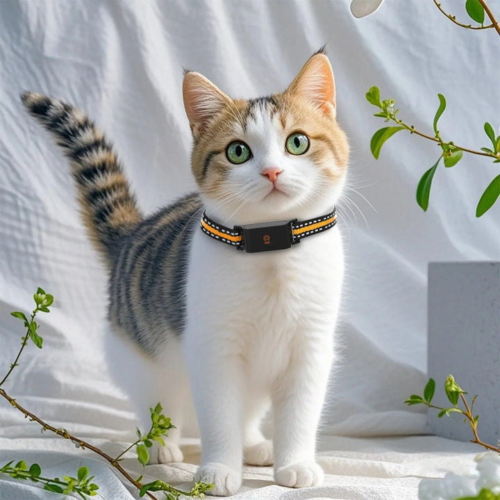 Skanto | GPS Hund og Katt Halsbånd – Ubegrenset Rekkevidde Real-Time Tracker