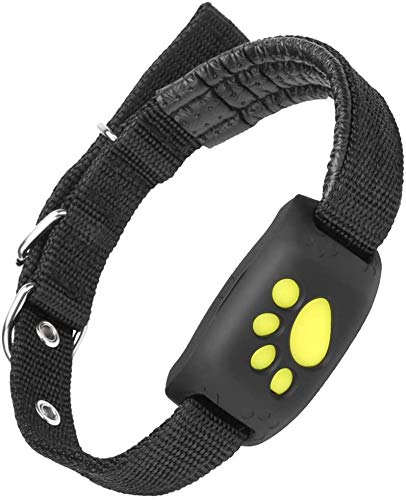 Skanto | Smart GPS Pet Collar med Sanntidssporing, Geo-Gjerdevarsler & Søvntilstand for Katter og Hunder