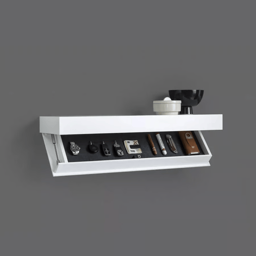 Skanto | StealthShelf — Skjul verdisaker med stil