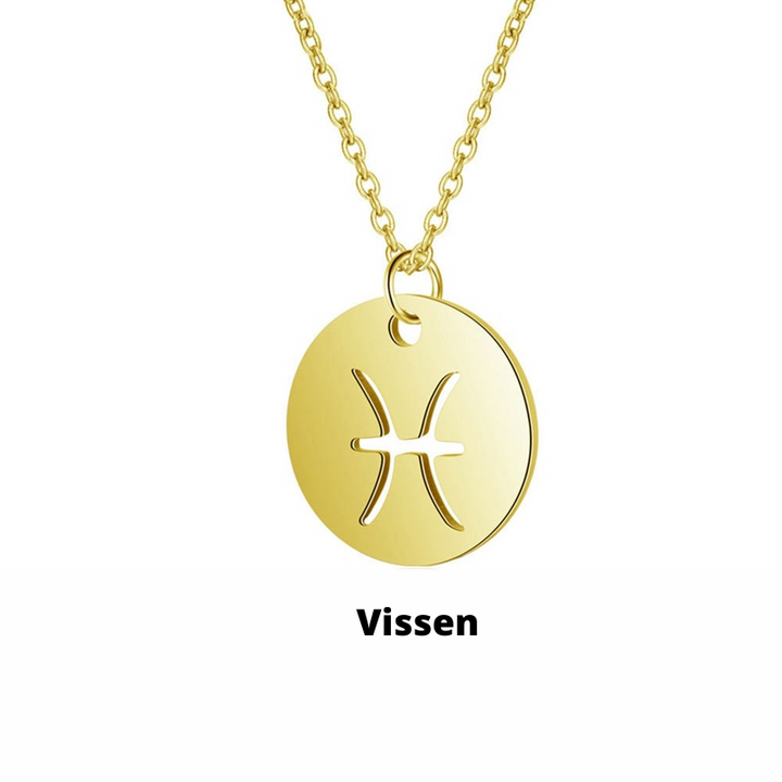 Zodiac Necklace | Bærekraftig rustfritt stål, forblir strålende! Skanto