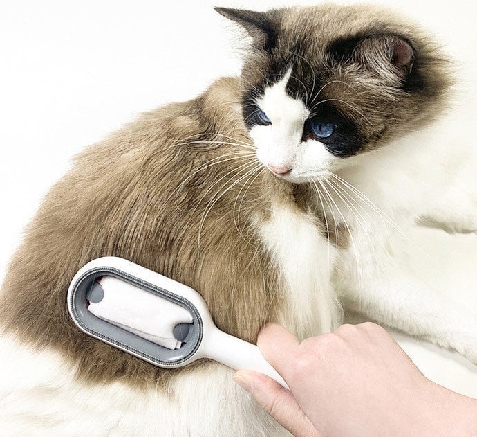 Skanto | Universell Pet Knots Fjerner