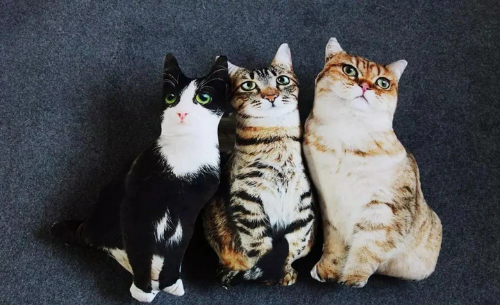 Skanto | Realistisk Katt Puter