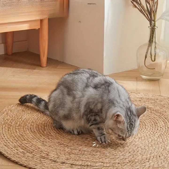 Skanto | KrazeLuxe Matt — Endelig fred fra kløe-kaos og den favorittplassen for katten din