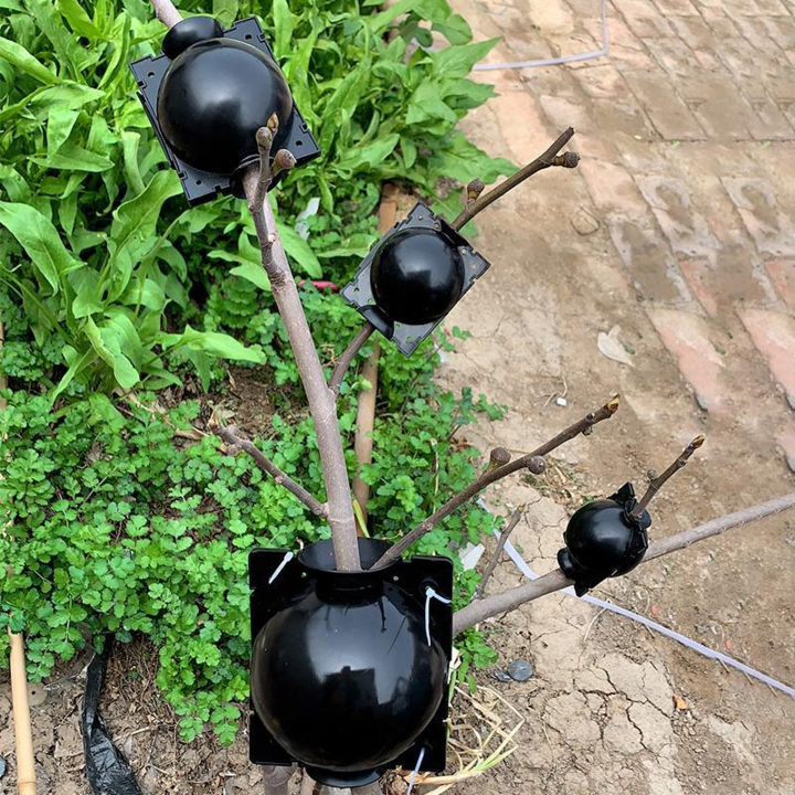 Air Layer Plant Propagation Capsule | Skanto