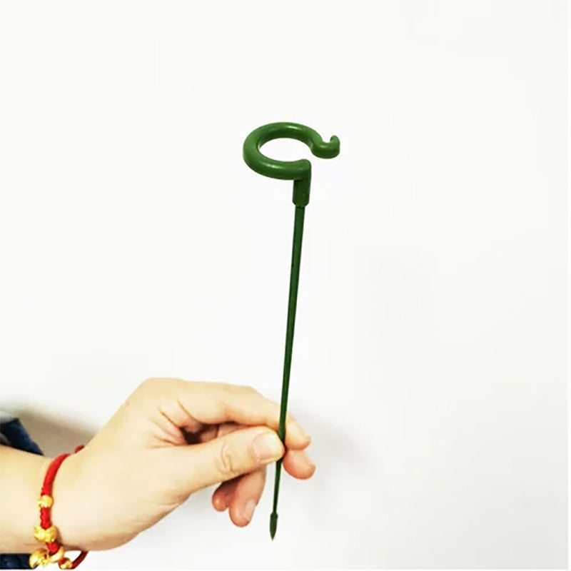 Skanto | Plante støtte