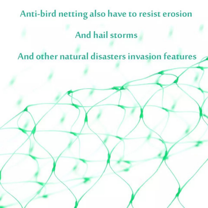 Skanto | Beskyttelsesnett for hageplanter – Grønt nett mot skadedyr og dyr