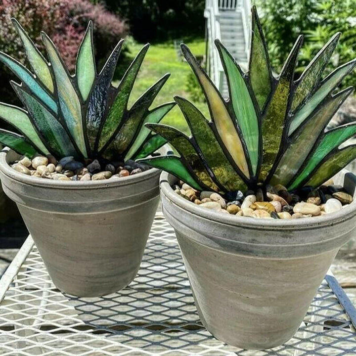 Skanto | Mini Pottede Planter Dekorasjon Hage Ornamenter