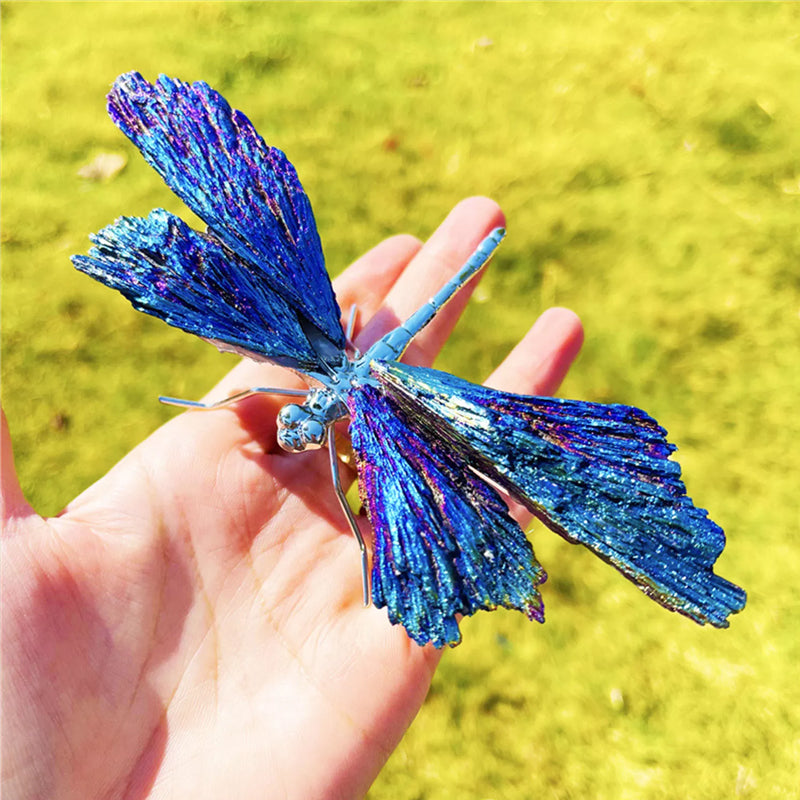 AURA TOURMALINE KYANITE DRAGEFLY | Skanto
